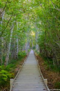 Acadia NP