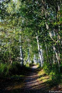 Acadia NP