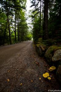 Acadia NP