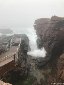 Acadia NP