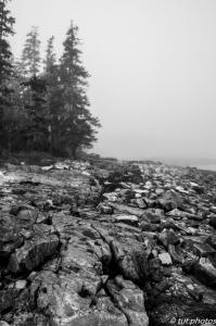 Acadia NP