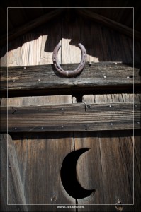 Hackberry  