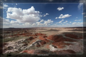 Petrified Forest NP
