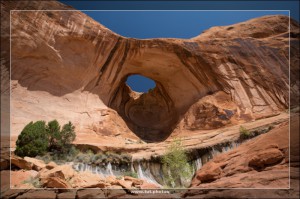 Bowtie Arch 