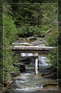Ptarmigan Creek 