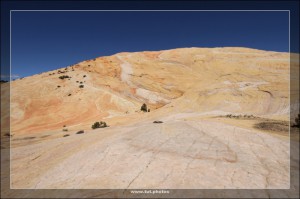 Yellow Rock