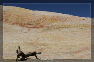 Yellow Rock