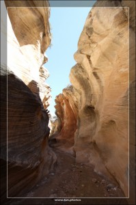 Willis Creek