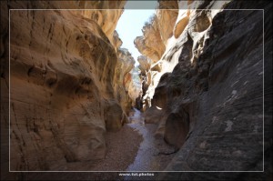 Willis Creek