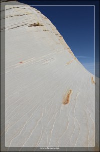 White Domes 