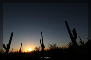 Saguaro NP West
