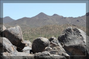 Saguaro NP West