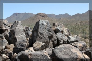 Saguaro NP West