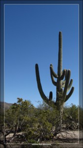 Apache Trail