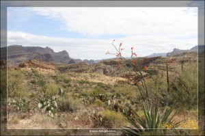 Apache Trail
