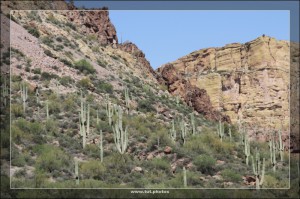 Apache Trail