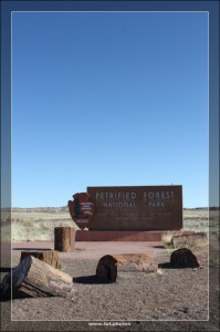 Petrified Forest NP