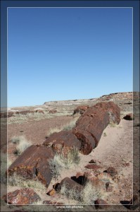 Petrified Forest NP