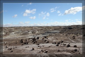 Petrified Forest NP