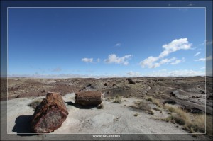 Petrified Forest NP